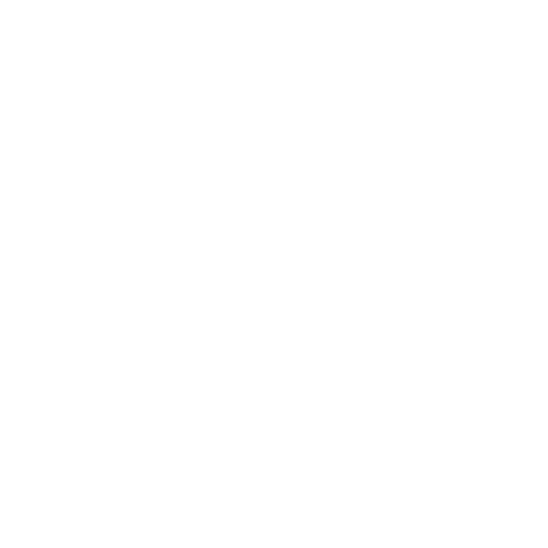 localxperiences logo